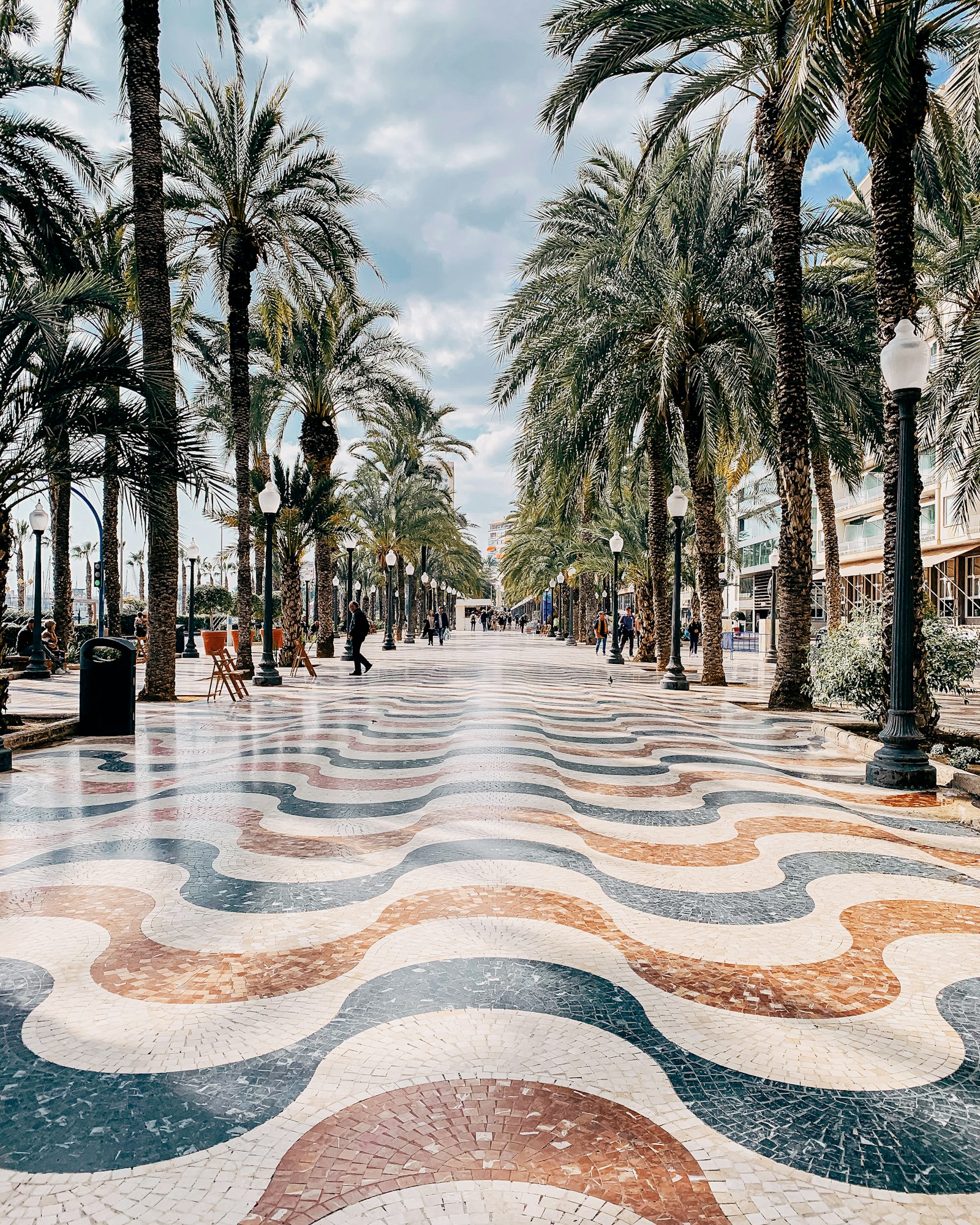 Allée bordée de palmiers à Alicante sur la Costa Blanca